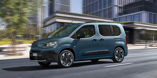 Fiat Qubo L